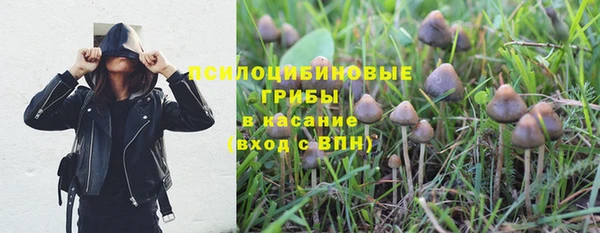 героин Алзамай