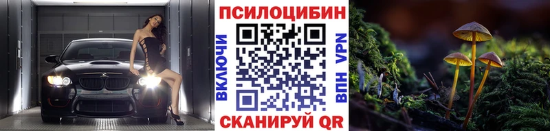 это какой сайт  Кемерово  Галлюциногенные грибы Cubensis  купить закладку 