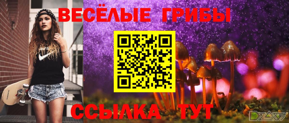 Кемерово  Галлюциногенные грибы Cubensis  Галлюциногенные грибы ЛСД  Вход с VPN 