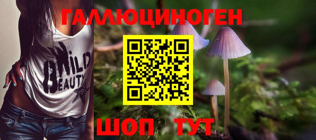 Галлюциногенные грибы прущие грибы Кемерово